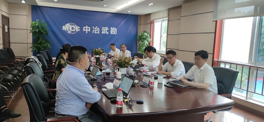 中冶集团武汉勘察研究院综改方案咨询项目完结